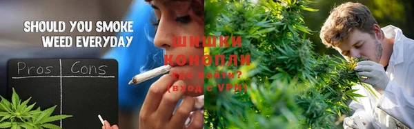 марки lsd Новозыбков
