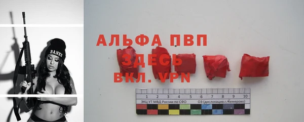 марки lsd Новозыбков