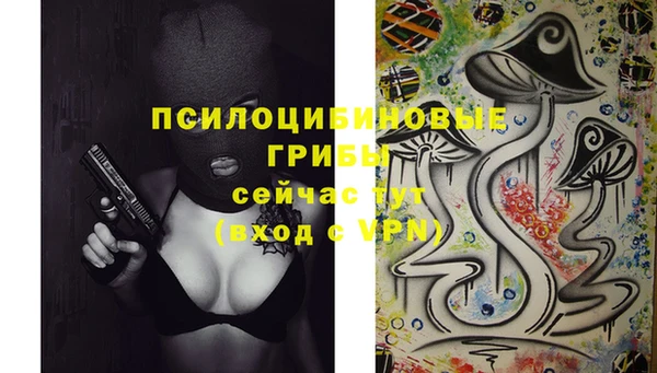 марки lsd Новозыбков