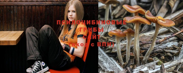 стафф Нея