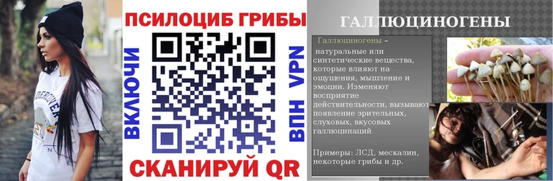 купить наркоту  Котельники  blacksprut как войти  Псилоцибиновые грибы Cubensis 