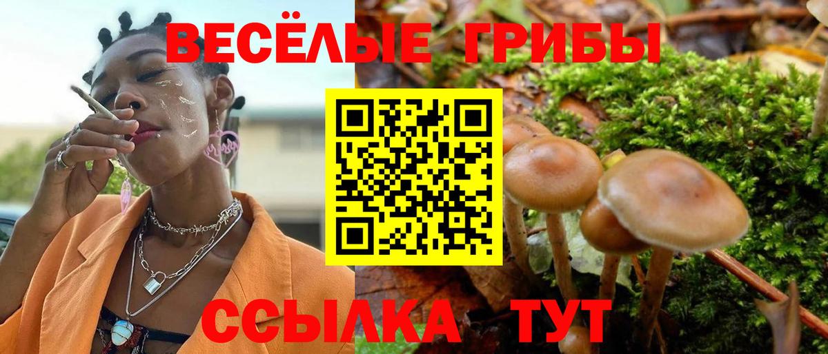 Котельники  Галлюциногенные грибы мицелий  наркошоп  Вход с VPN  Галлюциногенные грибы MAGIC MUSHROOMS 