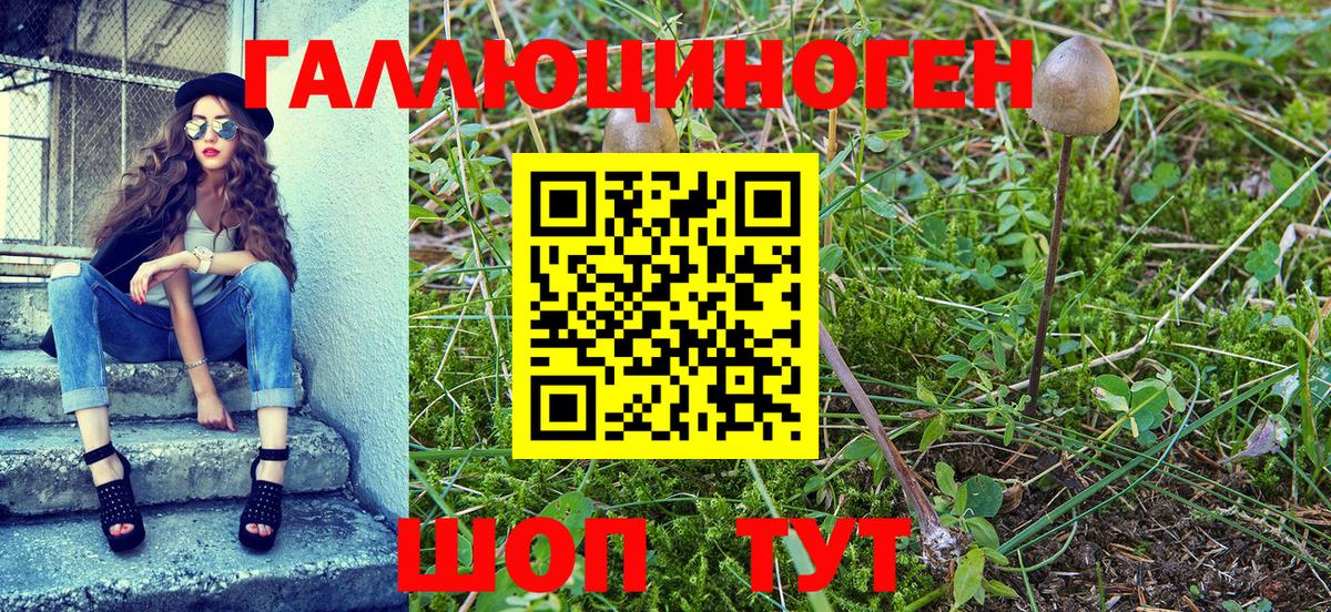 Галлюциногенные грибы мухоморы  Псилоцибиновые грибы мухоморы  Котельники 